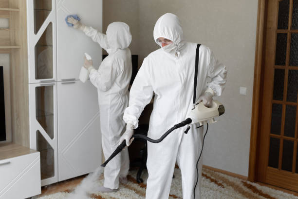 24/7 Emergency Odor Removal experts in Evanston, IL