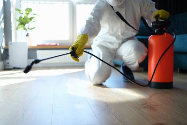 Reliable Odor Removal contractor in Evanston, IL by Trauma Clean Pros